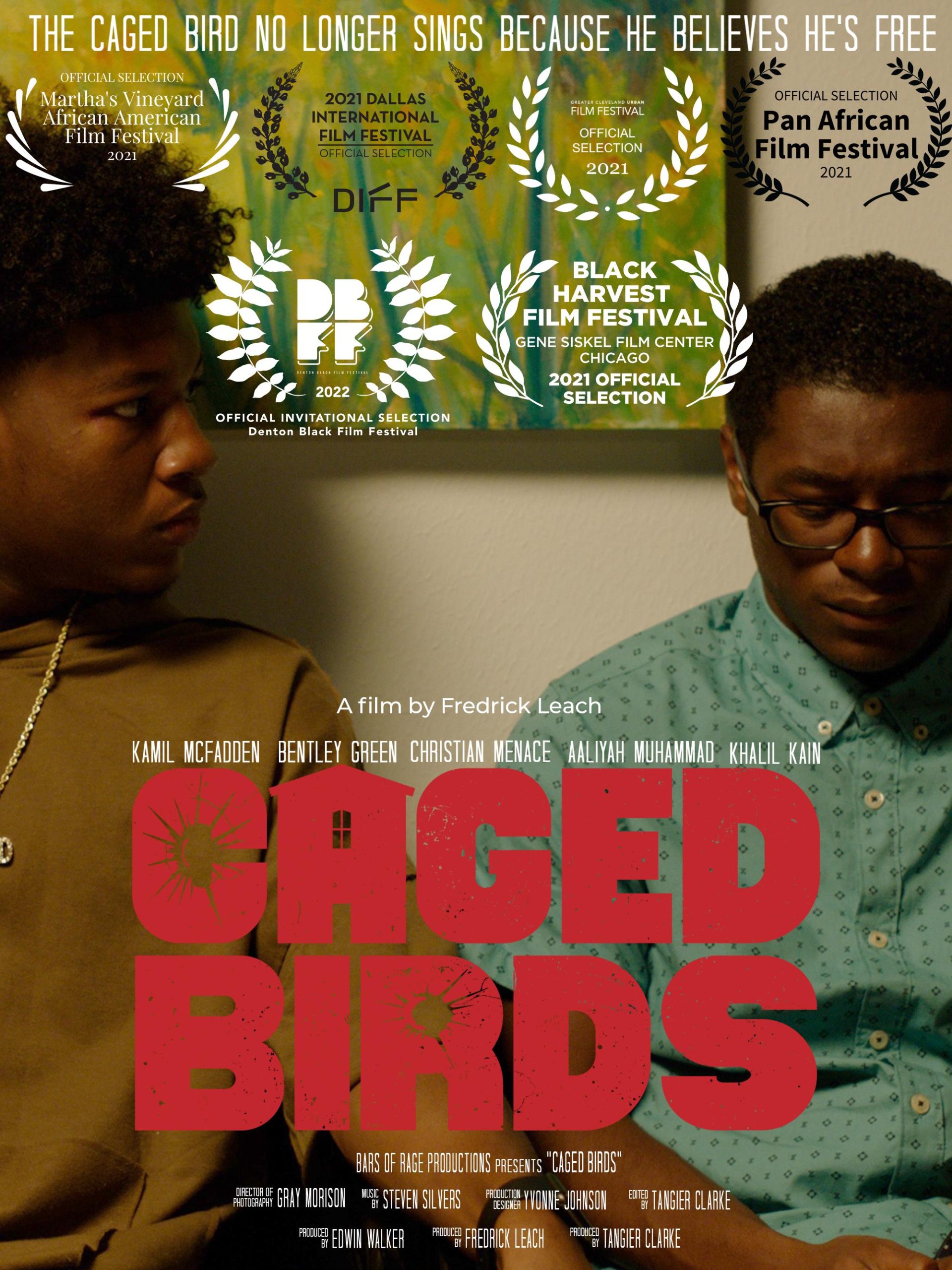 caged birds poster